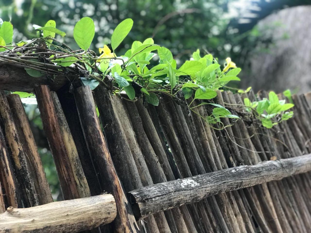 Vila Cabanas La Alborada Tulum Exteriér fotografie